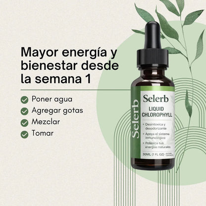 Clorofila Líquida Natural | Detox Y Bienestar Diario Selerb Menta
