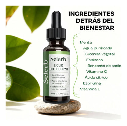 Clorofila Líquida Natural | Detox Y Bienestar Diario Selerb Menta