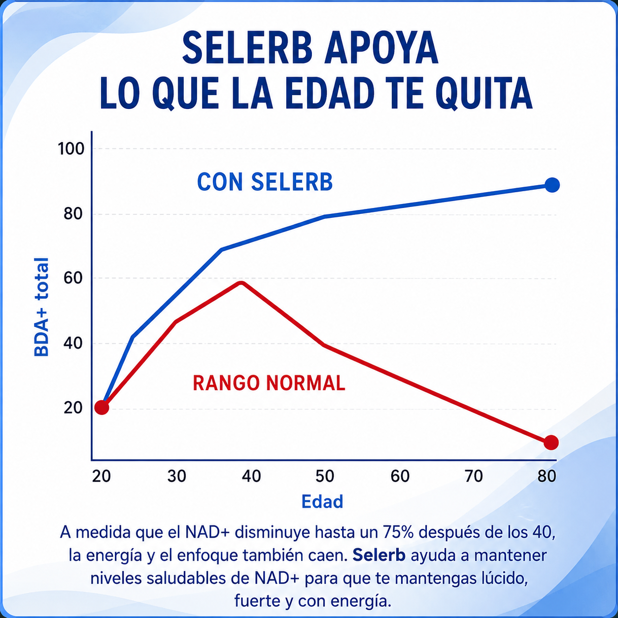 Selerb NAD + Resveratrol | 60 Capsulas